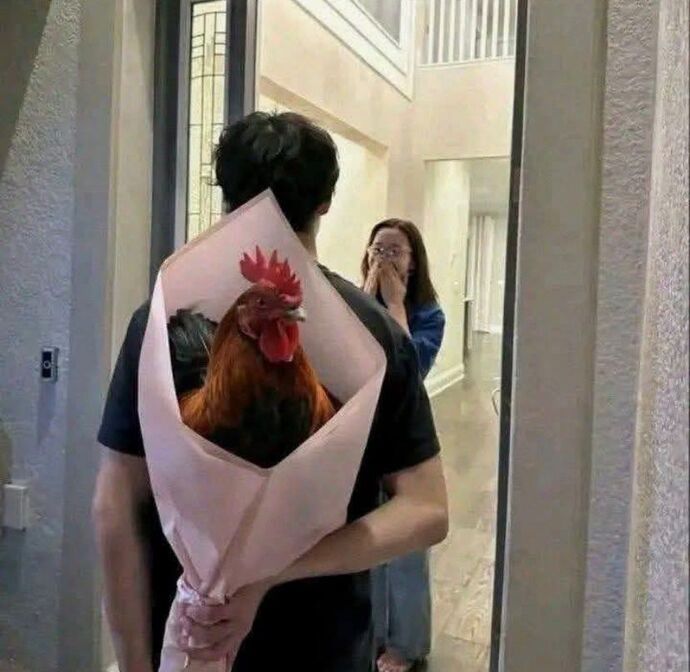 Sevgiliye horoz hediye alınır mı?