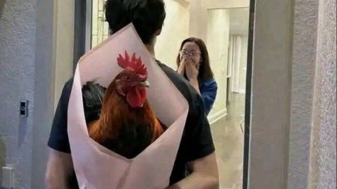 Sevgiliye horoz hediye alınır mı?