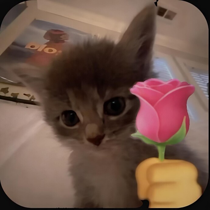 Tanımadığınız insanlara takip isteği yollar mısınız?