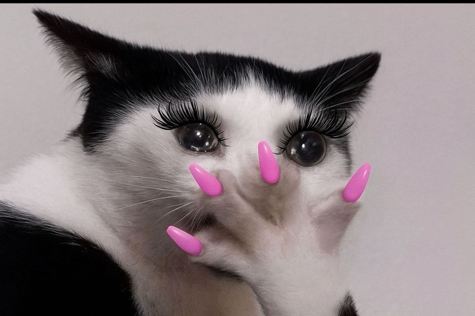 Burcuna göre en rezil yanın ne söyleyim mi🤣?