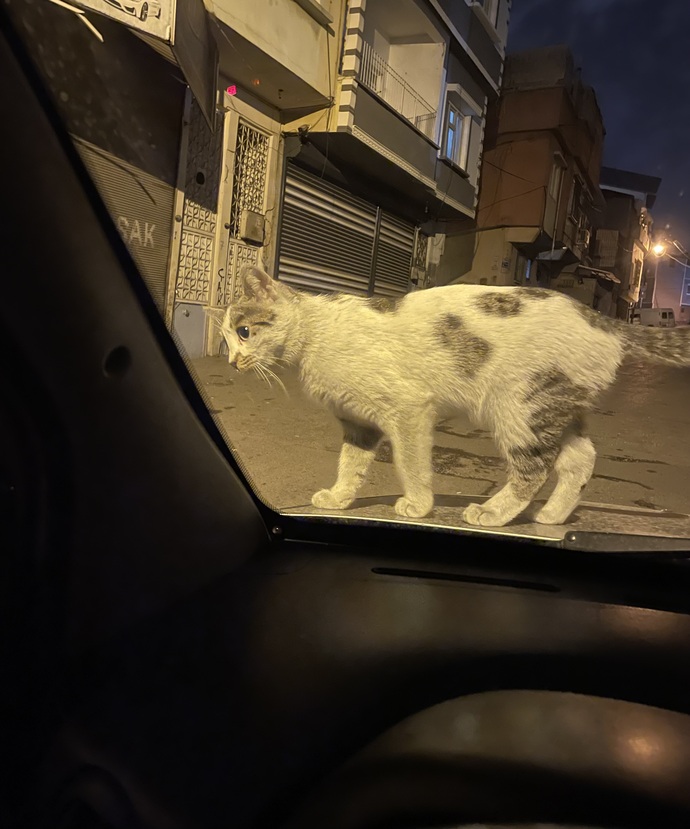 Gece uyku tutmadığında ne yaparsın?