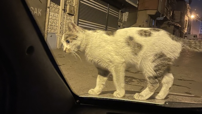 Gece uyku tutmadığında ne yaparsın?