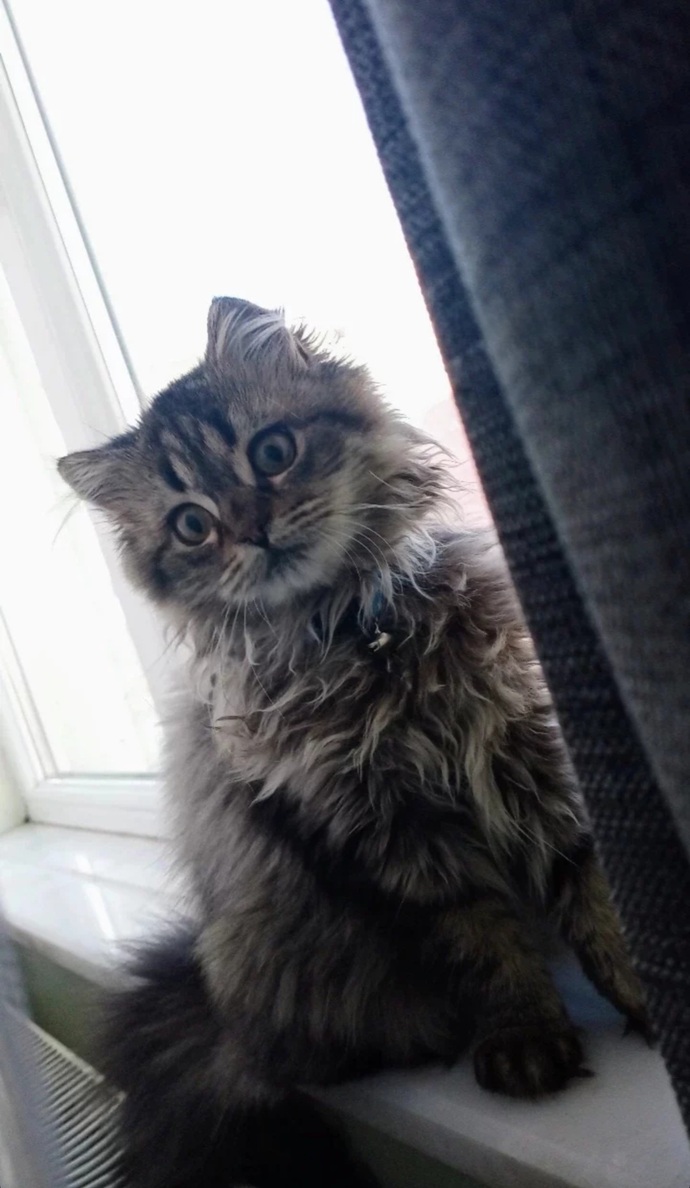 💙