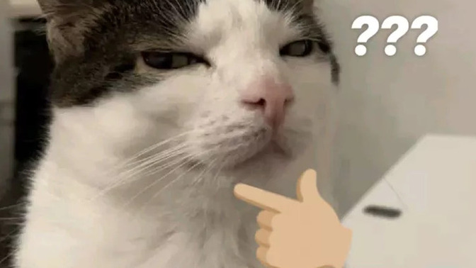 Bana soru sormak istesen ne sorardın, lütfen +18 konuları olmasın direkt kaldırır ve engellerim amaç sadece sohbet?
