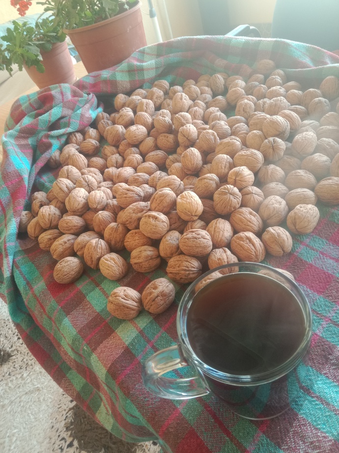 Güne kahve ile mi çay ile mi başlıyorsunuz, hangisi sizi daha iyi hissettiriyor?