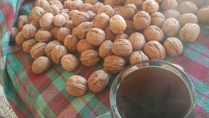 Güne kahve ile mi çay ile mi başlıyorsunuz, hangisi sizi daha iyi hissettiriyor?