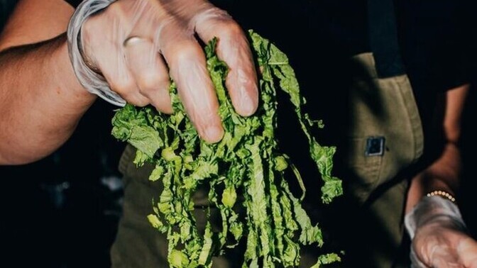 Yemek tariflerini nereden öğreniyorsun?