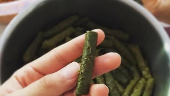 Sarma mı sevgilin mi hangisini daha çok seviyorsun?