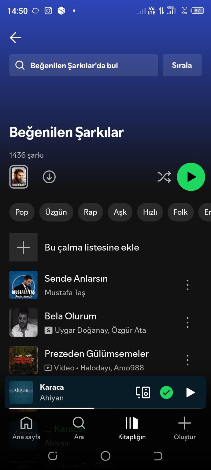 Kaç tane şarkınız var?