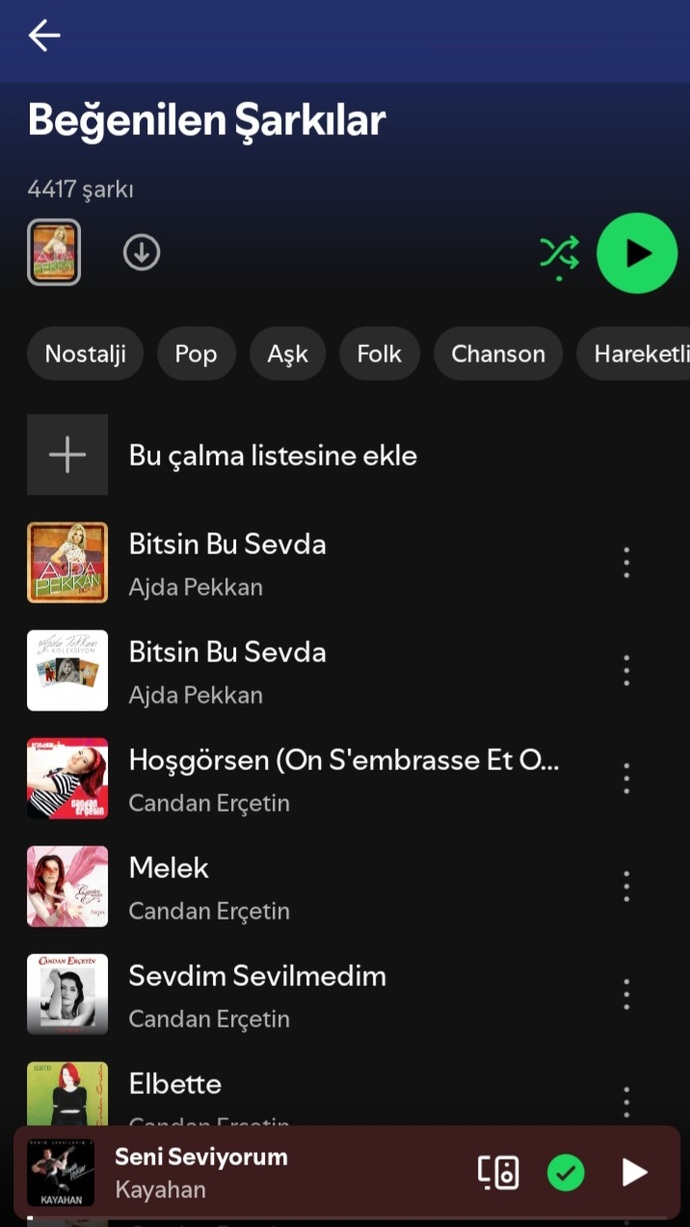 Kaç tane şarkınız var?