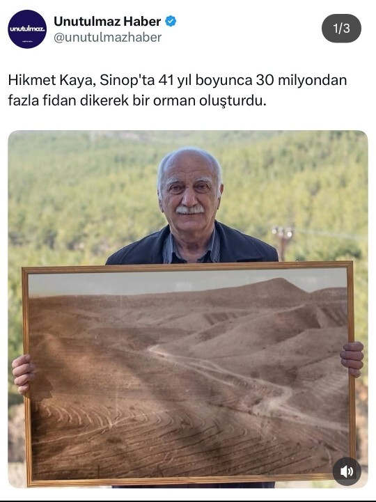 Sinoptaki amca kurak bir alanı 41 yılda ormana çevirdi. Siz hiç fidan diktiniz mi?