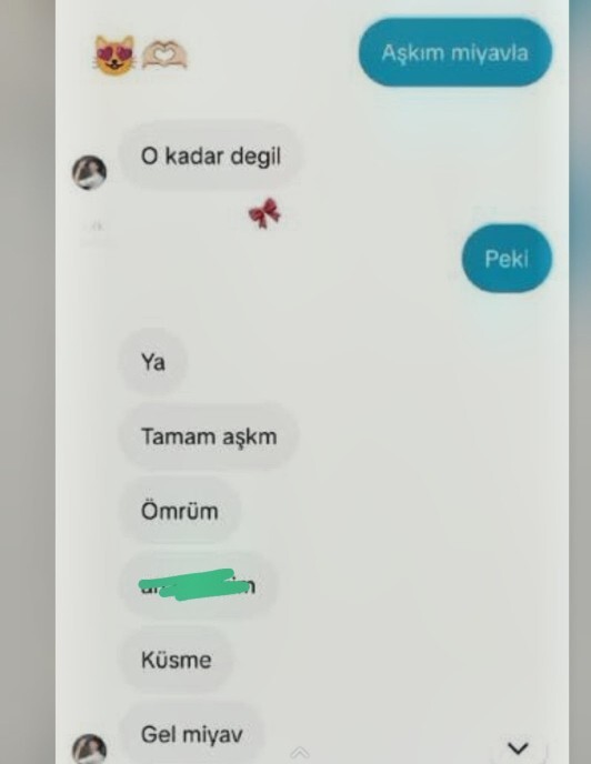Sevgilinizmiyavlamanızı isteseydi miyavlar mıydınız?