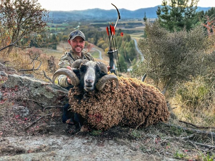En sıradan okçu 🏹 bile bir koçu 🐏 avlayıp öldürebilir. Fikirleriniz?