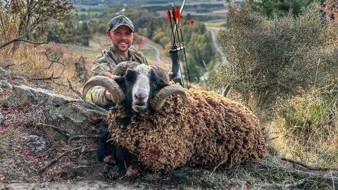 En sıradan okçu 🏹 bile bir koçu 🐏 avlayıp öldürebilir. Fikirleriniz?