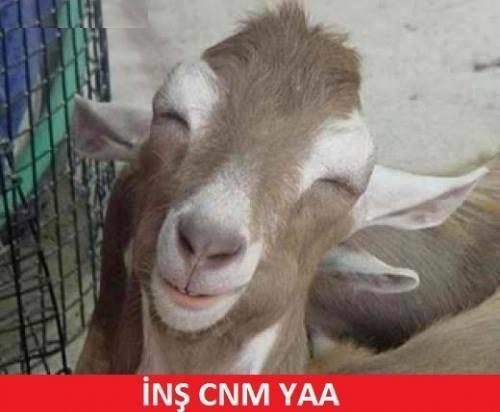 Flörtözlüğüne 10 üzerinden kaç puan verirsiinn?