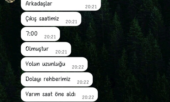Mesajları kelime kelime yazmak gibi bir alışkanlığınız var mı?