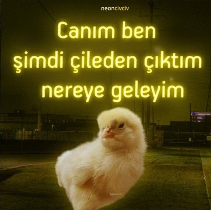 Sevgilin mesajına uzun süre cevap vermezse ne yaparsın?