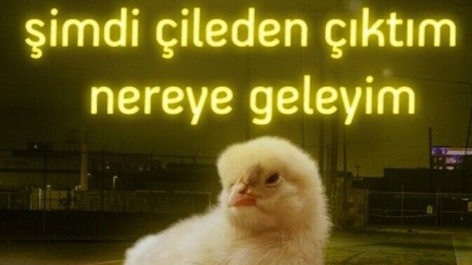 Sevgilin mesajına uzun süre cevap vermezse ne yaparsın?