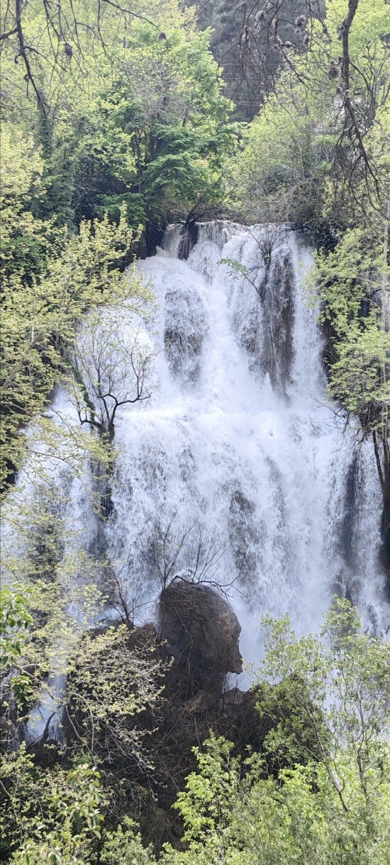 Doğada olmak size de huzur veriyor mu?