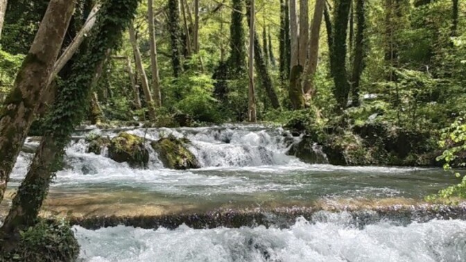 Doğada olmak size de huzur veriyor mu?