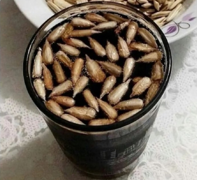 Sonunda çekirdeklerimide ayıklayıp akşam keyfisi yapmaya başladım 🤭bir afiyet olsun alır mıyım?