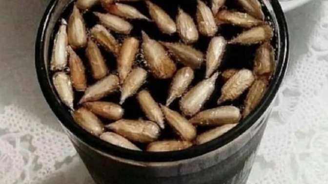 Sonunda çekirdeklerimide ayıklayıp akşam keyfisi yapmaya başladım 🤭bir afiyet olsun alır mıyım?
