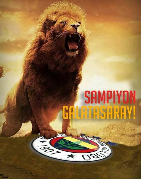 Ve 2025-2026 sezonu şampiyonu Galatasaray oldu! Ne düşünüyorsunuz?
