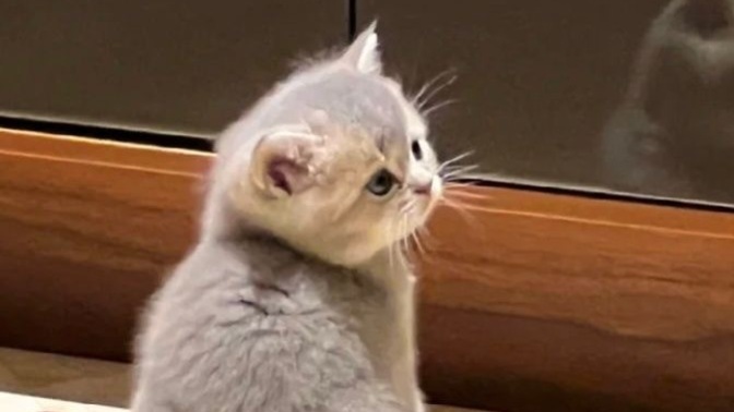 Üzen taraf mısın, üzülen taraf mı?
