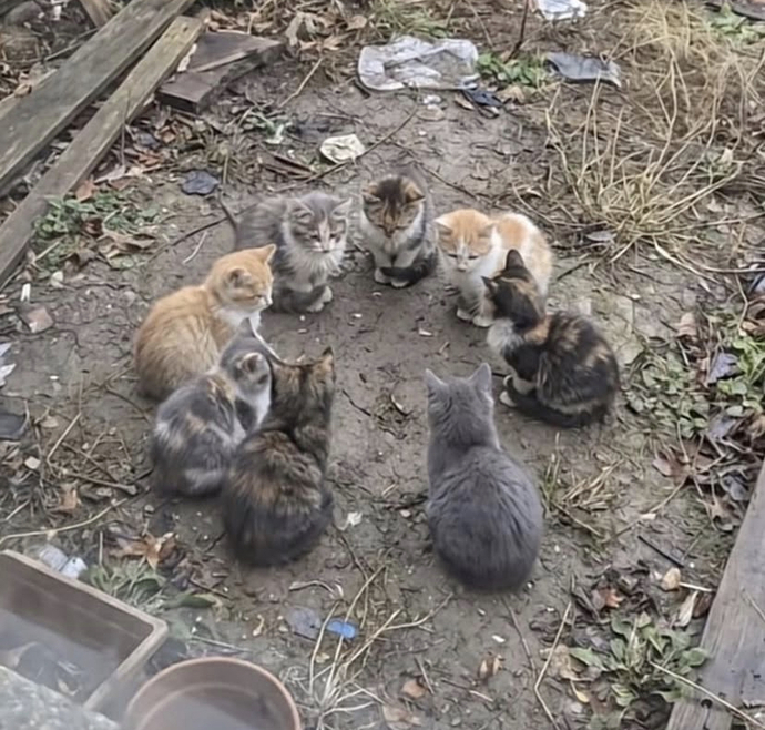 Ön yargı bir hastalık mıdır?