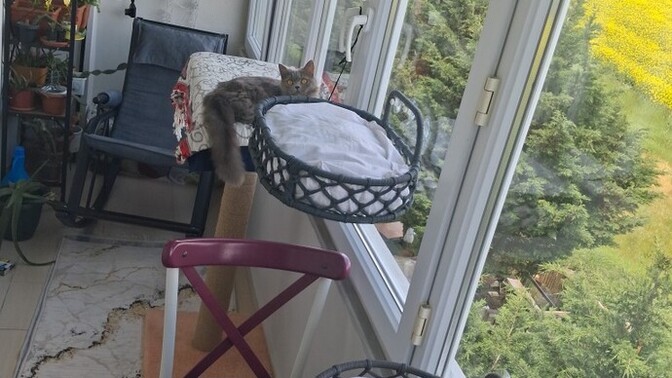 Kedi mekanı dekoru nasıl olmuş, Pamuğumun köşesi yeterince cool mu?