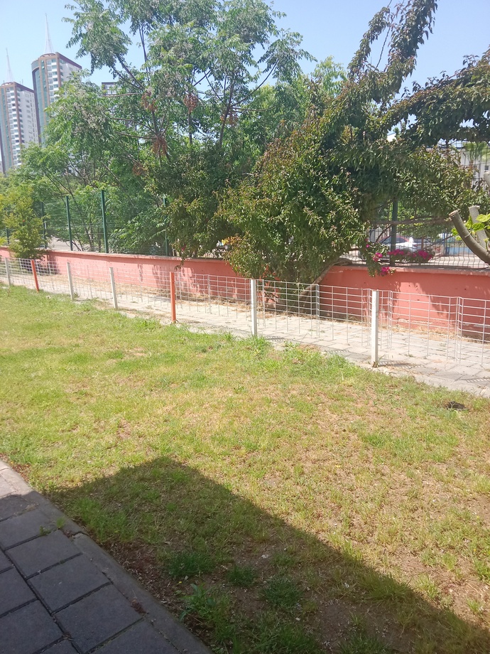 Anlık neler yapıyorsunuzz?