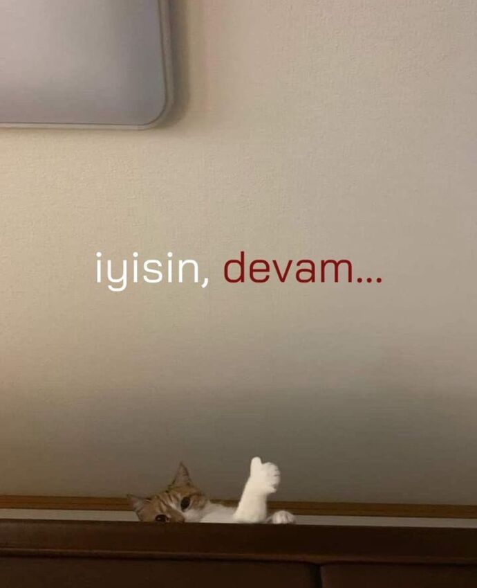 Düştüğünüzde çabuk kalkabiliyor musunuz?