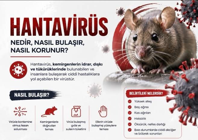 Hantavirüs ayağına yeni aşı çıkarsa vurdurmayın olur mu?