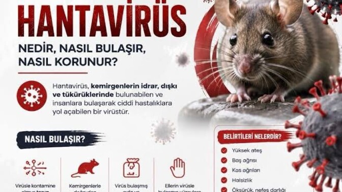Hantavirüs ayağına yeni aşı çıkarsa vurdurmayın olur mu?