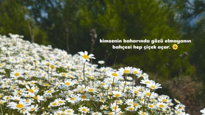 Bazen en güzel anlar, hiç beklemediğiniz anda gelenlerdir. sizin bu hafta sonundan kalan, yüzünüzü gülümseten o sürpriz an neydi?