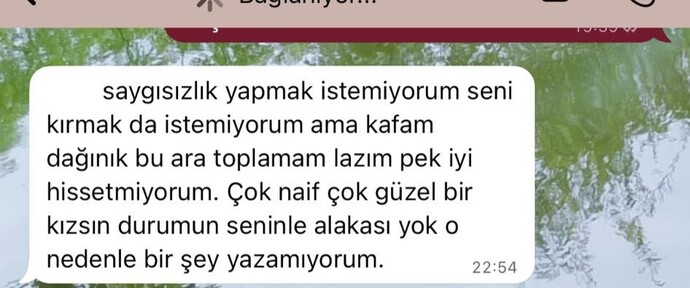 Sizce bahane mi?