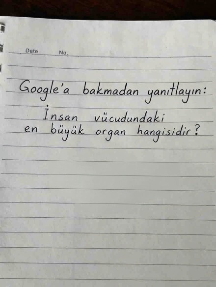Görseldeki soruyu internetten bakmadan kim doğru cevaplar?