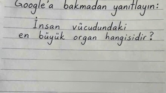 Görseldeki soruyu internetten bakmadan kim doğru cevaplar?