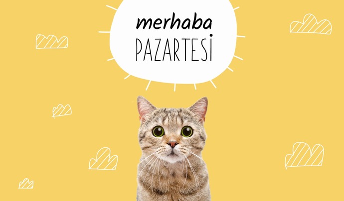Pazartesiye yorgun mu başladınız yoksa dinlenmiş olarak mı?