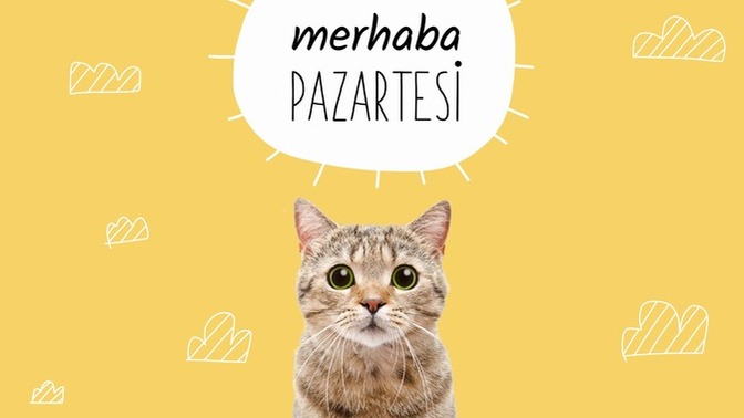 Pazartesiye yorgun mu başladınız yoksa dinlenmiş olarak mı?