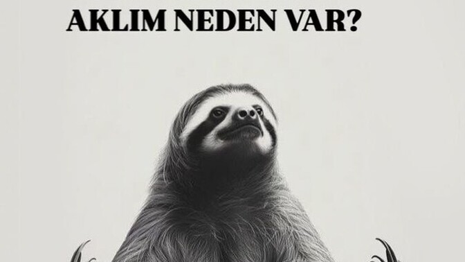 Aklına eseni yapar mısın?