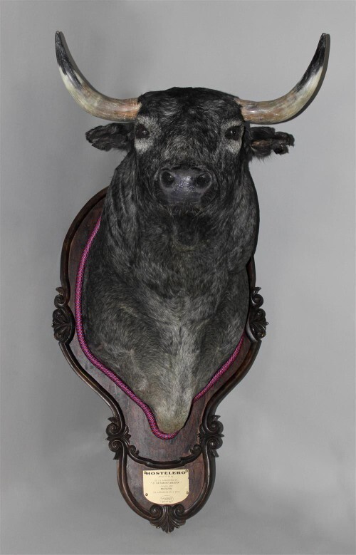 Yay burcu neden aslan, koç, boğa burçlarını böyle taxidermy kurbanına çeviriyor?