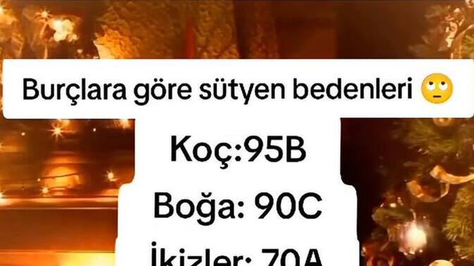 Hangi Burçsunuz yazın bakalım gelsin?