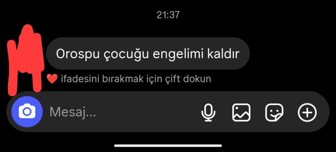 Reddedilince küfür eden kızlar gerçekten kibirli mi, yoksa ben mi yanlış anlıyorum?