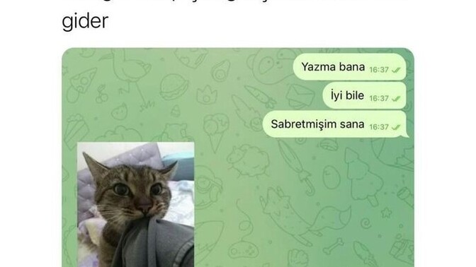 Sizce Kadınların mı Erkeklerin mi sahip çıktığı ilişki daha güçlü olur?