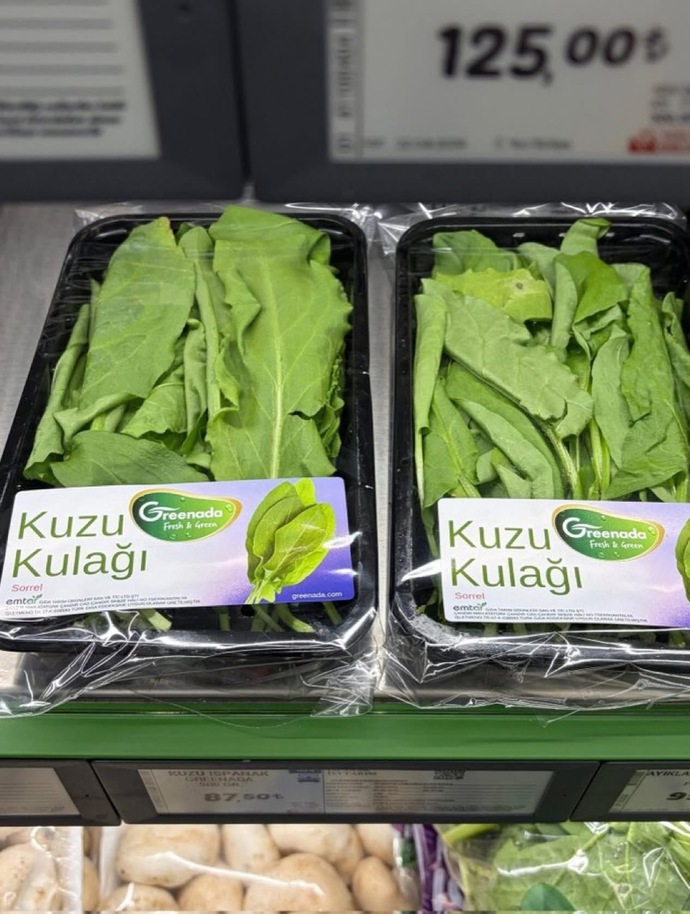 Orduda ne yenir ne içilir neresi gezilir?