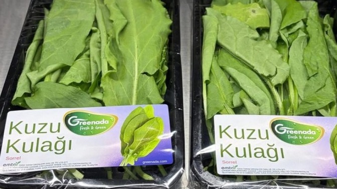 Ordu'da ne yenir ne içilir neresi gezilir?