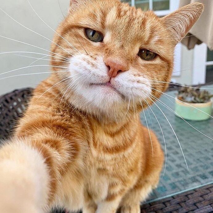 Selfie çekmeyi sever misin?
