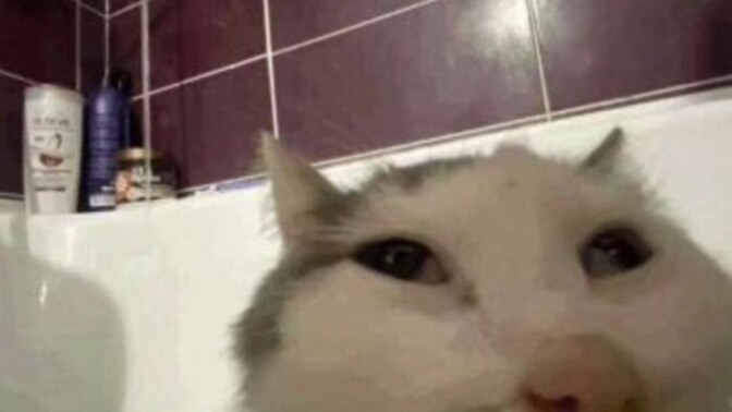 Selfie çekmeyi sever misin?