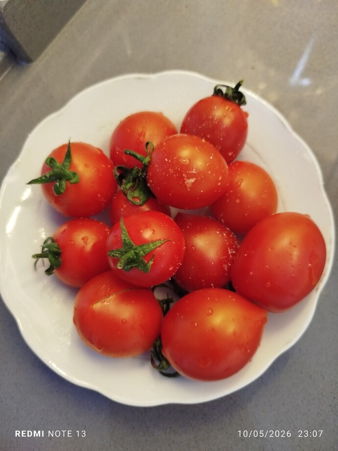 Domates meyve midir sebze mi, çeri domates meyve gibi yemek doğru mu?